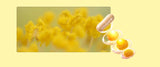 Yellow flower blossoms in a soft-focus background next to a 3D illustration of a clear capsule containing golden-yellow honeycomb-like structures, all on a pale yellow background.