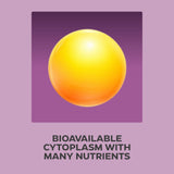 A digital graphic featuring a glowing yellow-orange sphere centered on a purple square, with the text 'BIOAVAILABLE CYTOPLASM WITH MANY NUTRIENTS' below it on a lavender background.