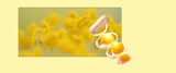 A capsule-shaped supplement product shown floating over a soft yellow floral background, with transparent rings and golden-yellow spherical contents visible. No person, animal, or real environment is present, so this is Product/Packaging rather than Lifestyle.