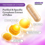 Promotional graphic for Sérélys Perimeno cytoplasm extract of pollen capsules. The image shows a clear capsule filled with beige powder, a peeled golden pollen grain, and labeled diagrams of the cytoplasm and pollen grain with hard shell, on a soft purple-to-pink gradient background with text highlighting purified and specific cytoplasm extract technology.