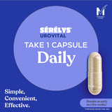 Sérélys Urovital Take 1 Capsule Daily promotional graphic on a blue background, showing a single beige capsule and text including 'Simple, Convenient, Effective.' and a 'Microbe Friendly' badge.