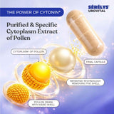 Sérèlys Urovital purified and specific cytoplasm extract of pollen capsules, showing a transparent capsule filled with beige powder and labeled callouts explaining the cytoplasm of pollen, pollen grain with hard shell, and final capsule on a light blue background.